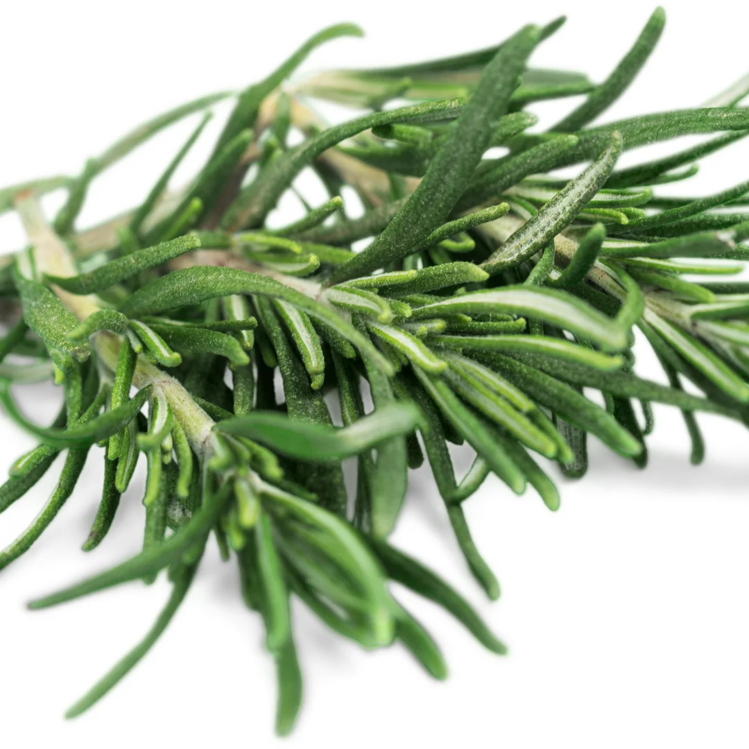 Rosemary